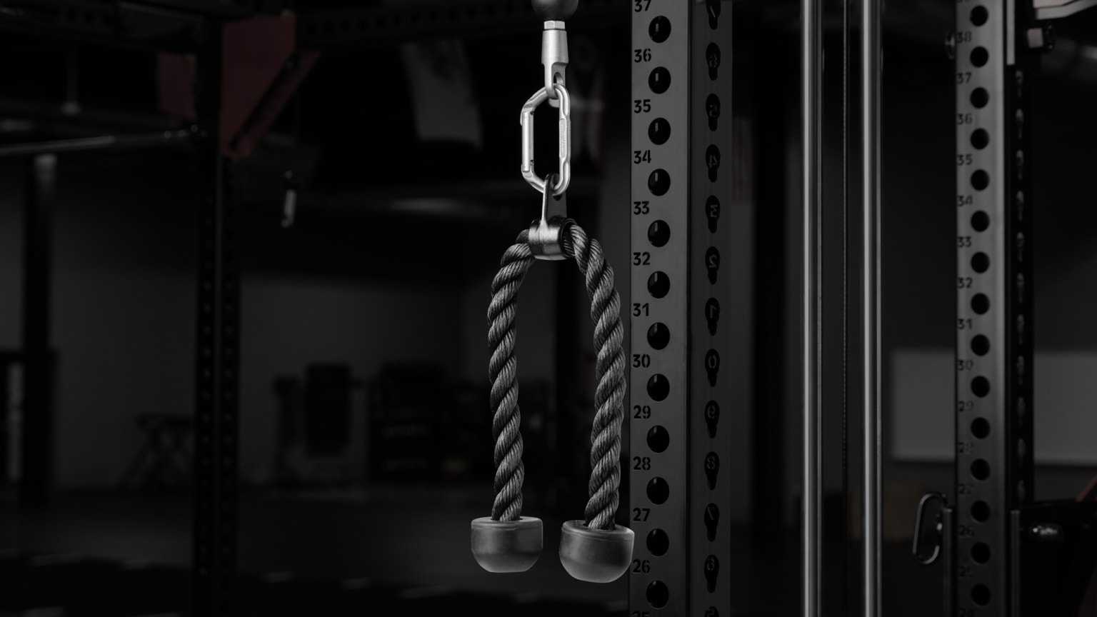 Tricep Rope Attachment Rogue Fitness